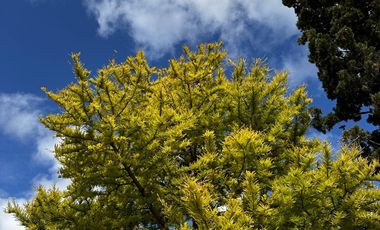 Lotes comerciales en Parque Comercial Nuevallende, Villa Allende