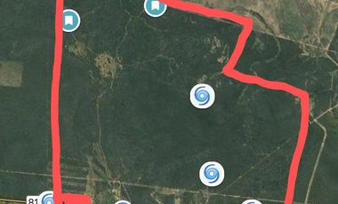 Campo sobre ruta 81 - Chiriguanos-