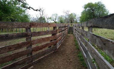 Campo sobre ruta 81 - Chiriguanos-