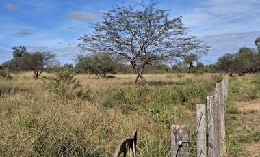 Campo sobre ruta 81 - Chiriguanos-