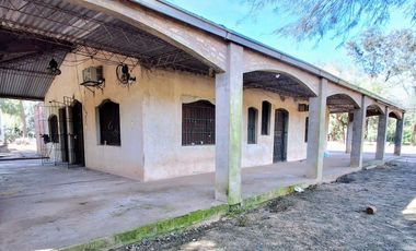 Campo sobre ruta 81 - Chiriguanos-