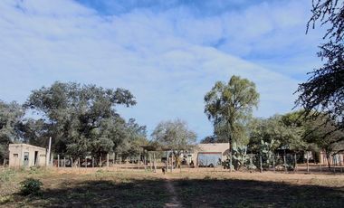 Campo sobre ruta 81 - Chiriguanos-