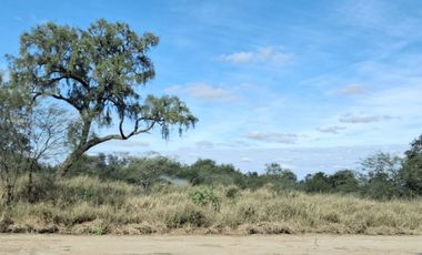 Campo sobre ruta 81 - Chiriguanos-