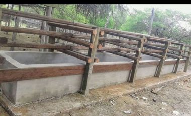 Campo sobre ruta 81 - Chiriguanos-