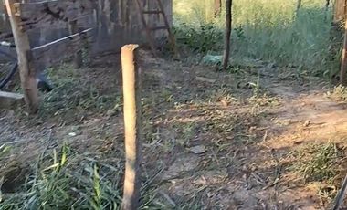 Campo sobre ruta 81 - Chiriguanos-