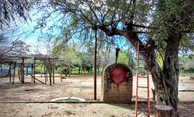 Campo sobre ruta 81 - Chiriguanos-