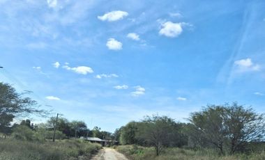 Campo sobre ruta 81 - Chiriguanos-