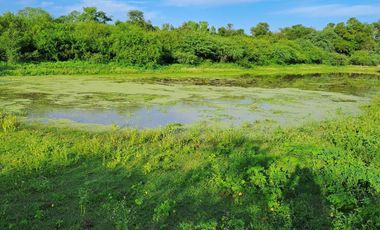 Campo sobre ruta 81 - Chiriguanos-