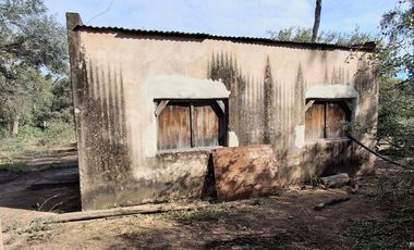 Campo sobre ruta 81 - Chiriguanos-