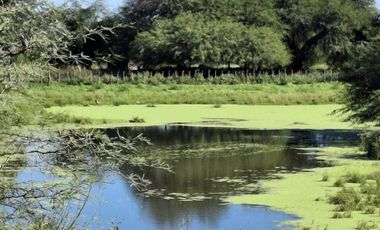 Campo sobre ruta 81 - Chiriguanos-