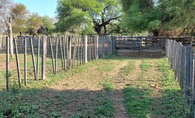 Campo sobre ruta 81 - Chiriguanos-