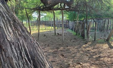 Campo sobre ruta 81 - Chiriguanos-