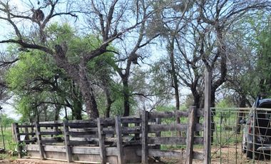 Campo sobre ruta 81 - Chiriguanos-