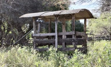 Campo sobre ruta 81 - Chiriguanos-