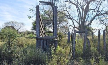 Campo sobre ruta 81 - Chiriguanos-