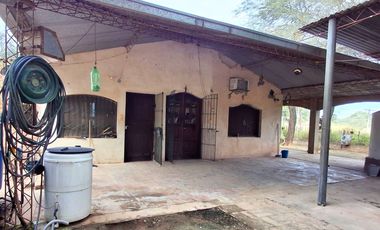 Campo sobre ruta 81 - Chiriguanos-