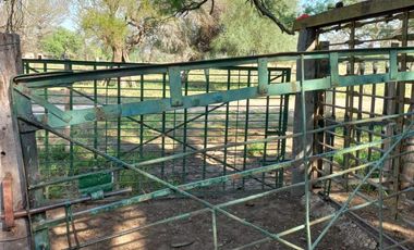 Campo sobre ruta 81 - Chiriguanos-