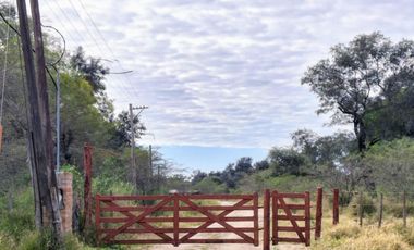 Campo sobre ruta 81 - Chiriguanos-