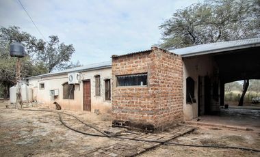 Campo sobre ruta 81 - Chiriguanos-