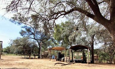 Campo sobre ruta 81 - Chiriguanos-