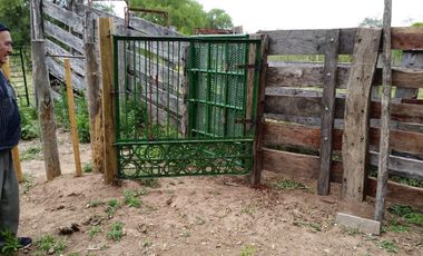 Campo sobre ruta 81 - Chiriguanos-