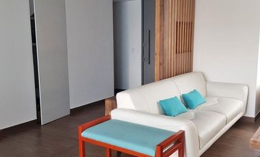 PH Amueblado en Renta en Rio Ebro