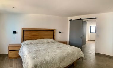 PH Amueblado en Renta en Rio Ebro