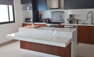 PH Amueblado en Renta en Rio Ebro