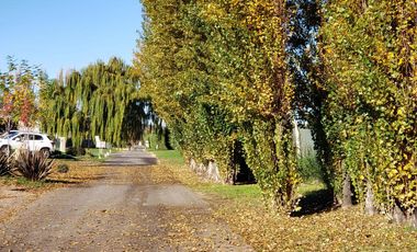 Departamento - Capital