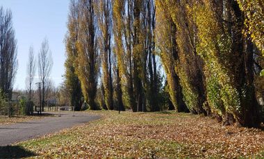 Departamento - Capital