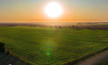 LOTE DE 450M2 - VENTA - BARRIO PRIVADO - IBARLUCEA