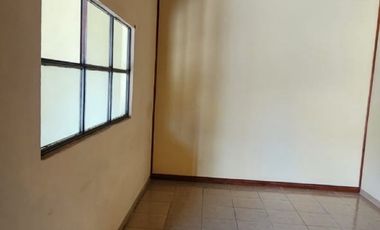 PH en troncos del talar