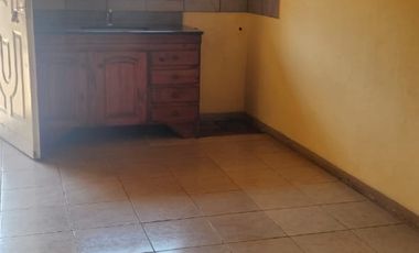 PH en troncos del talar