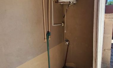 PH en troncos del talar