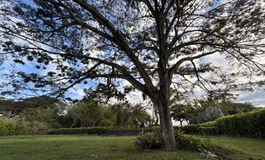 Venta Lote  Rozo Valle