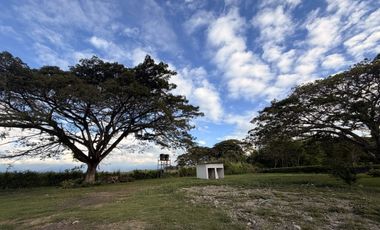 Venta Lote  Rozo Valle