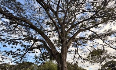 Venta Lote  Rozo Valle