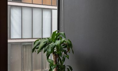 Departamento en Condesa