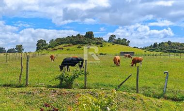 CASA EN CONDOMINIO A 7MIN DE CENTRO CON ACCESO A RIO MAULLÍN
