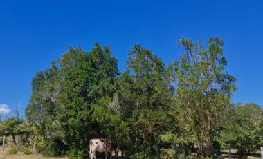RIO BLANCO