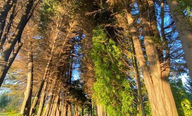 Casa en arriendo en PUCHUNCAVÍ