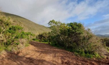 Parcela en venta en LOS VILOS