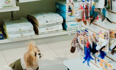 Local comercial en venta en PROVIDENCIA