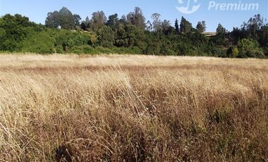 Parcela en Venta en FUNDO ALEMAN CAMINO TRUMAO