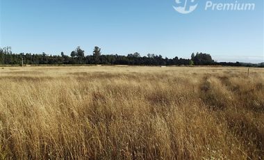 Parcela en Venta en FUNDO ALEMAN CAMINO TRUMAO