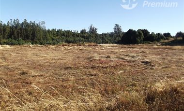 Parcela en Venta en FUNDO ALEMAN CAMINO TRUMAO