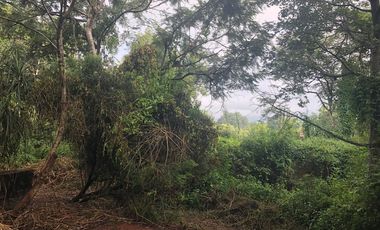 CASA EN YAUTEPEC DISEÑADA POR EL ARQUITECTO MAURICIO ROCHA