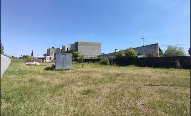 Terreno en venta en Gral. Lgos ideal para invertir y vivir en espacio verde.