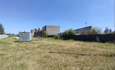 Terreno en venta en Gral. Lgos ideal para invertir y vivir en espacio verde.