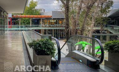 Local en  Nuevo quilmes plaza